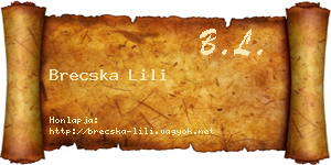 Brecska Lili névjegykártya